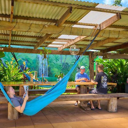 On The Wallaby Eco Lodge Yungaburra Extérieur photo