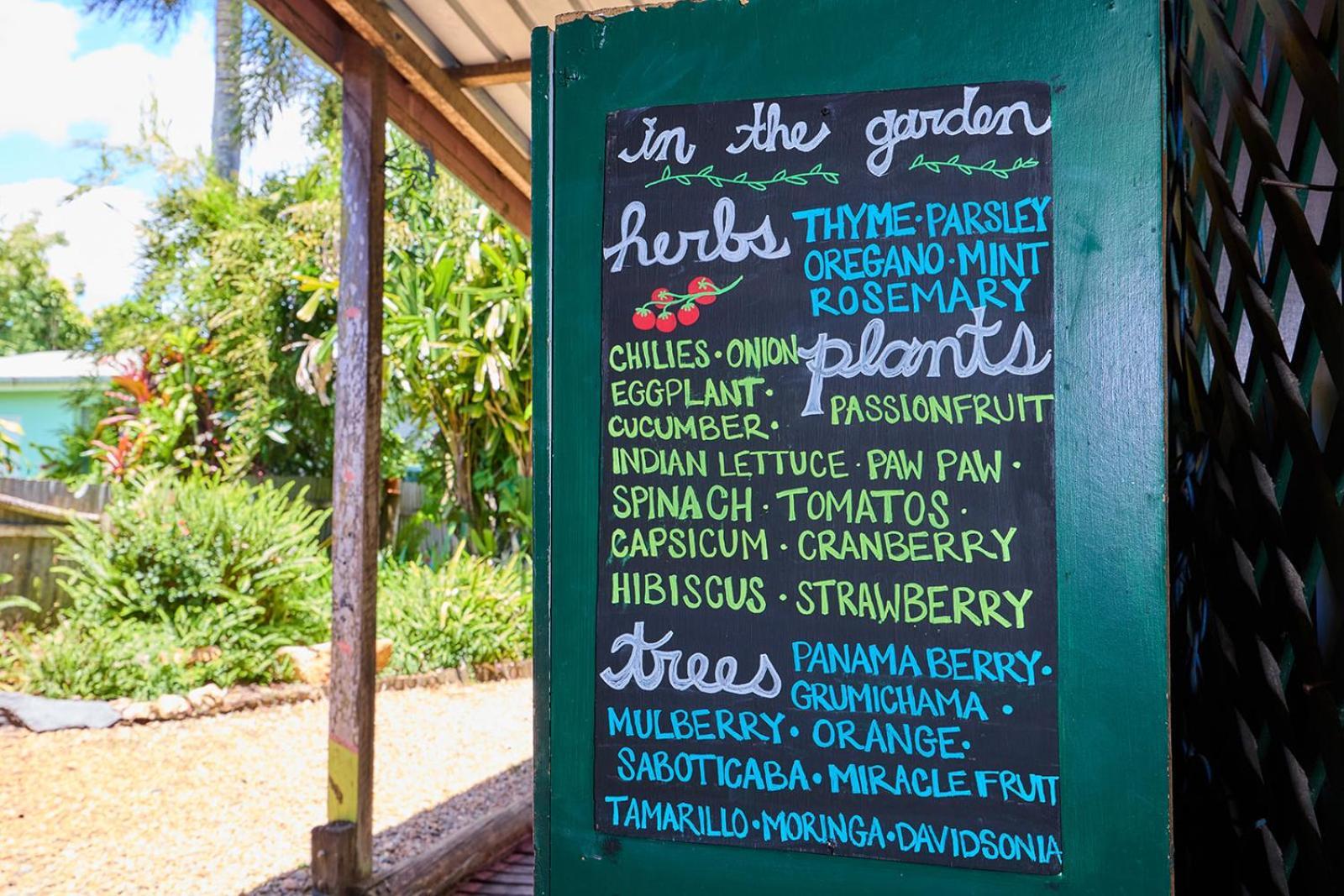 On The Wallaby Eco Lodge Yungaburra Extérieur photo