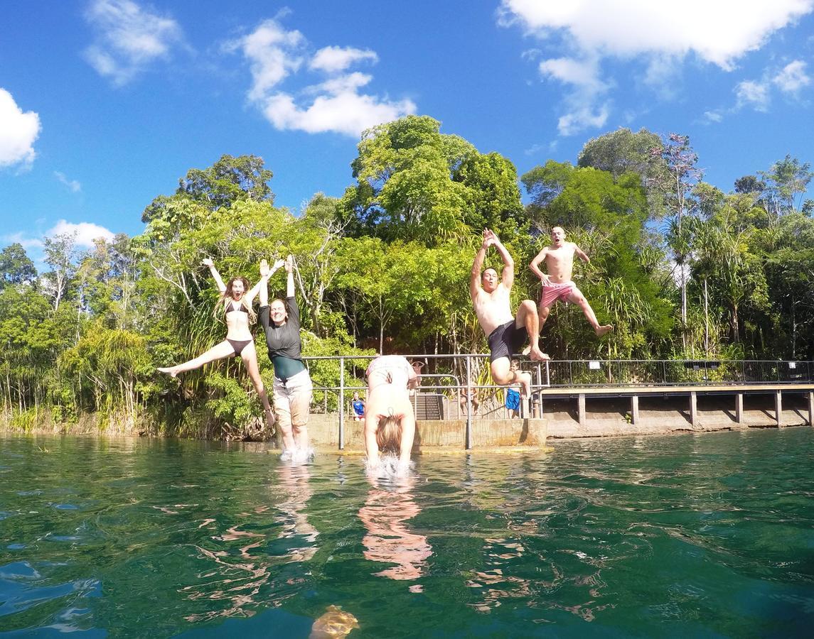 On The Wallaby Eco Lodge Yungaburra Extérieur photo